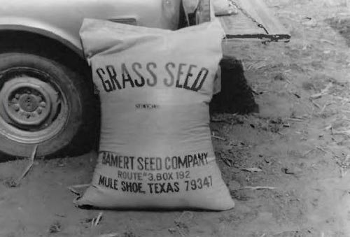 old bag of grass seed