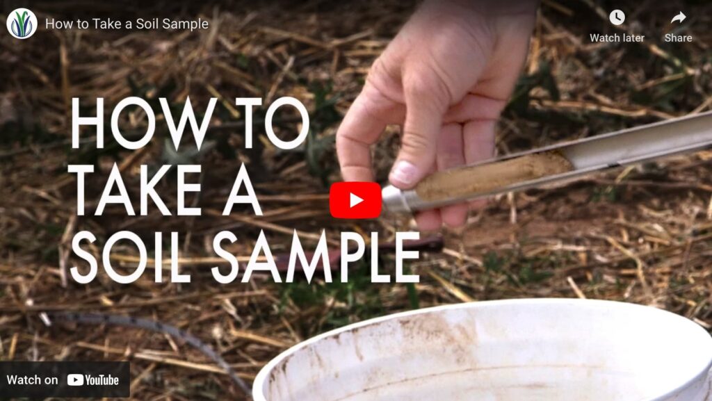 how to take a soil sample