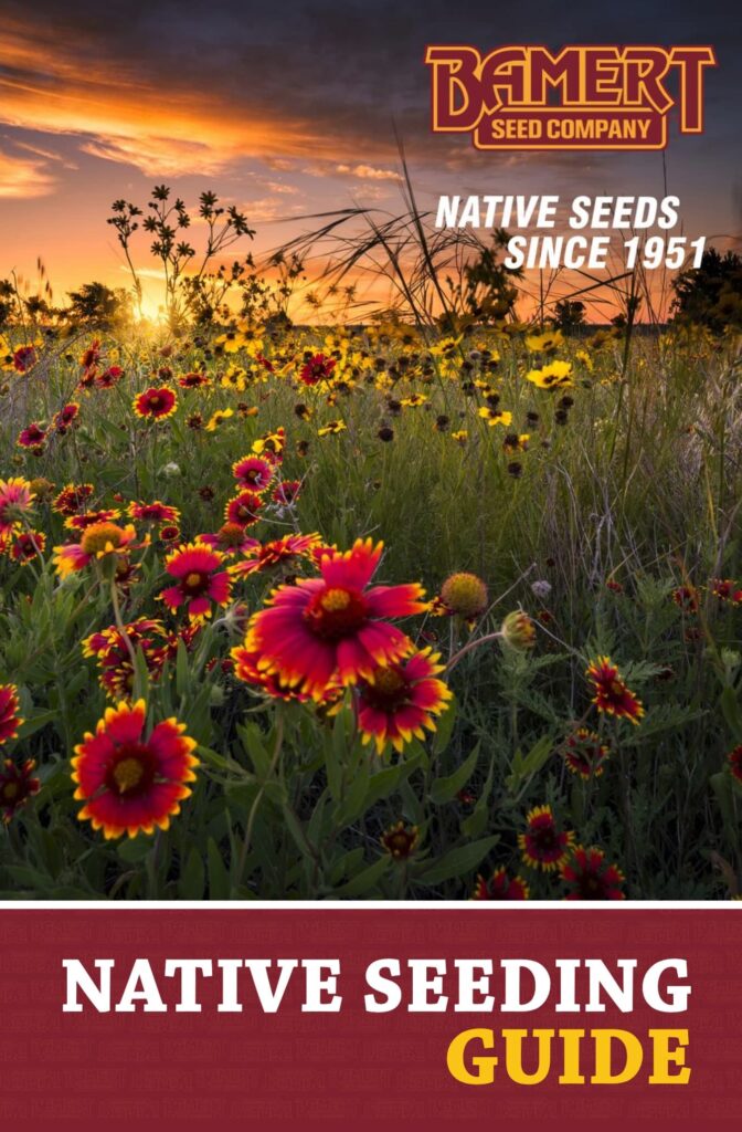 native seed guide