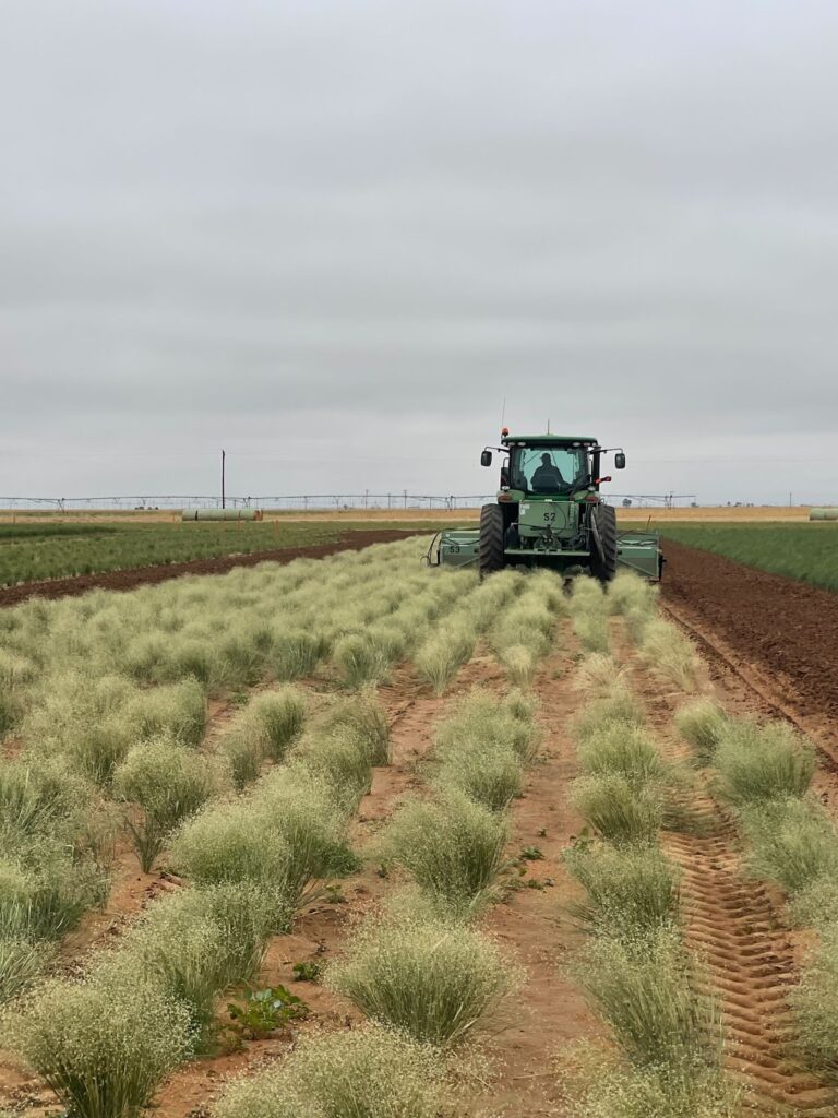 tractor plowing a field