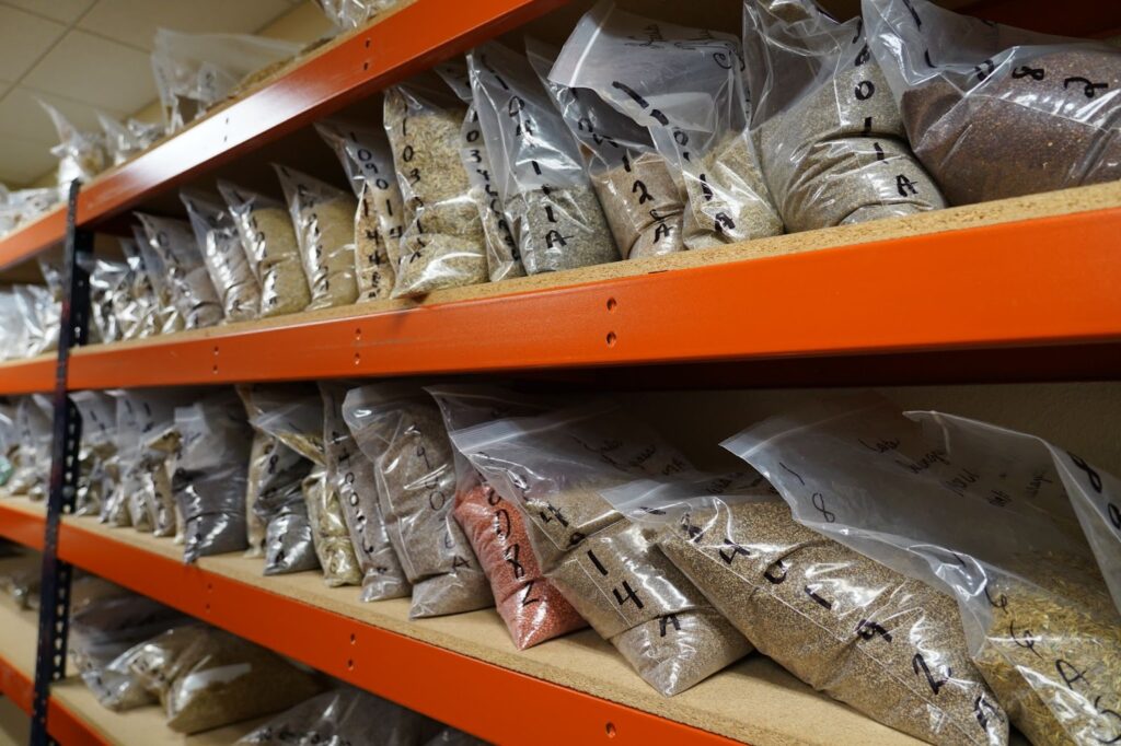 seed in bags on shelves