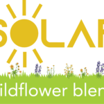 solar wildflower blend logo