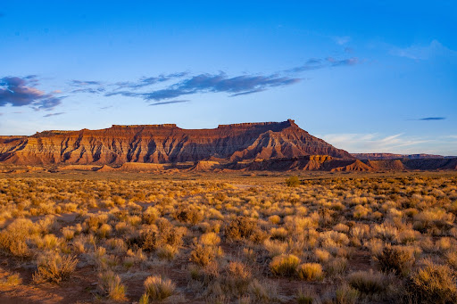 a large desert landscape with a mountain in the distance