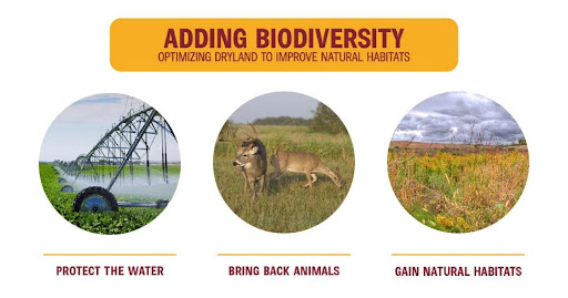 adding biodiversity by optimizing dryland to improve natural habitats