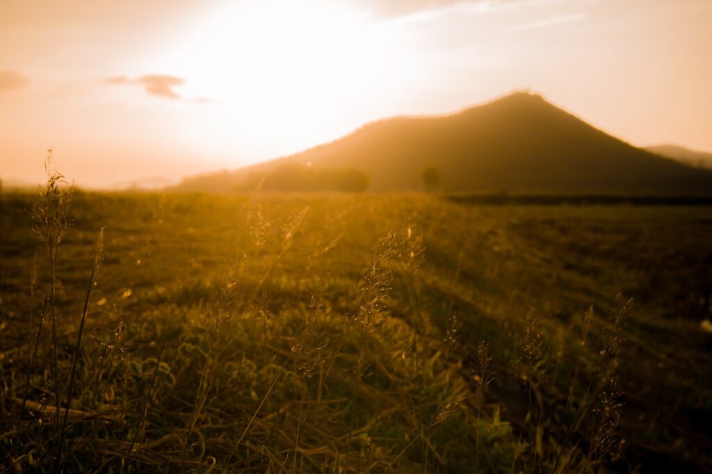 a field with grass and a mountain in the background