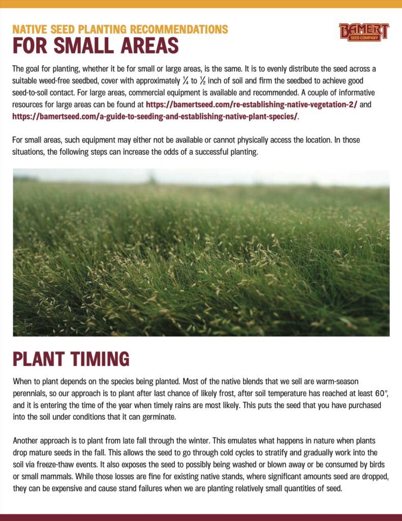 Bamert native seed planting recommendations