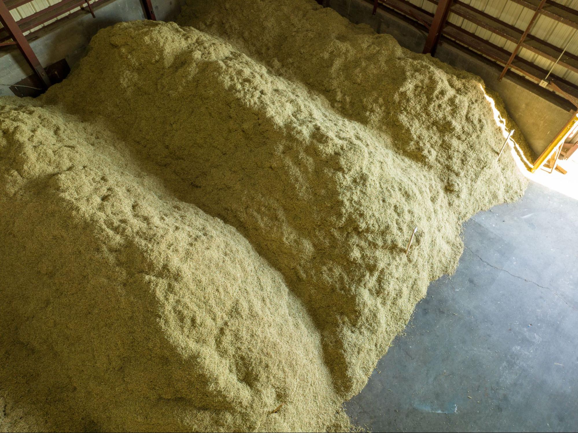 Seed Planting Myths, Risks & What Works: Fall vs. Spring | Bamert